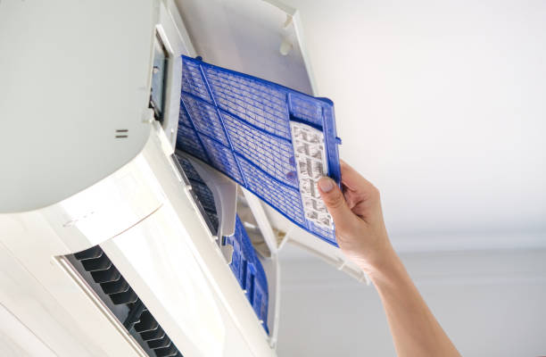 Best Air Duct Sanitizing Services  in Cochranton, PA